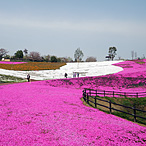 太田市北部運動公園