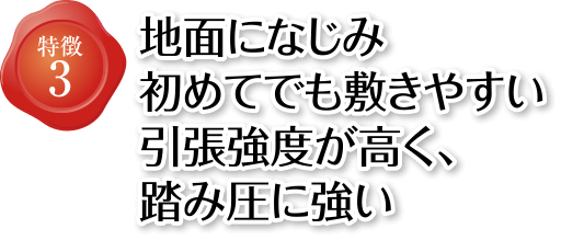 特徴3 地面になじみ初めてでも敷きやすい 引張強度が高く、踏み圧に強い