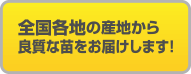 全国各地の産地から良質な苗をお届けします！