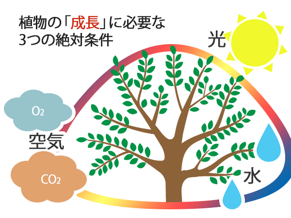 安心のウッドチップ