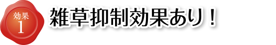 雑草抑制効果あり