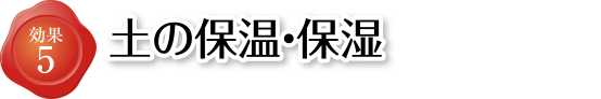 土の保温・保湿